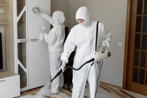 Best Commercial Mold Removal  in Kemmerer, WY