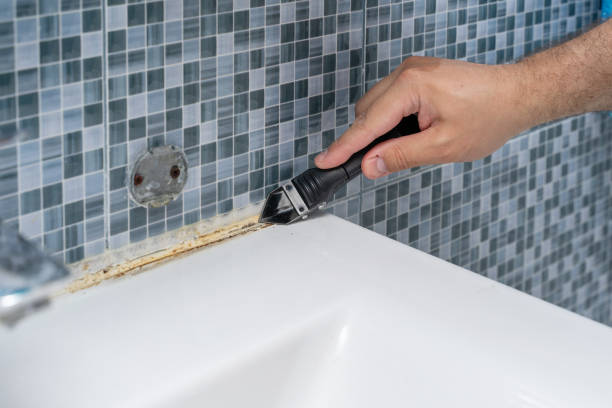 Best Professional Mold Removal  in Kemmerer, WY