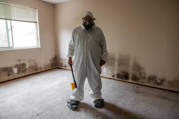 Best Mold Remediation  in Kemmerer, WY